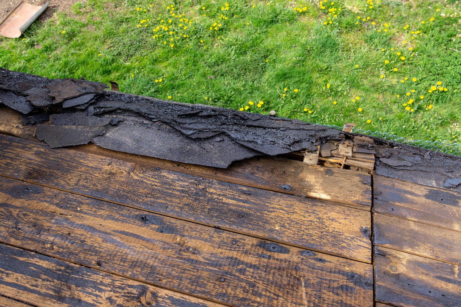 Damaged roof with peeling shingles beside a grassy yard with yellow flowers