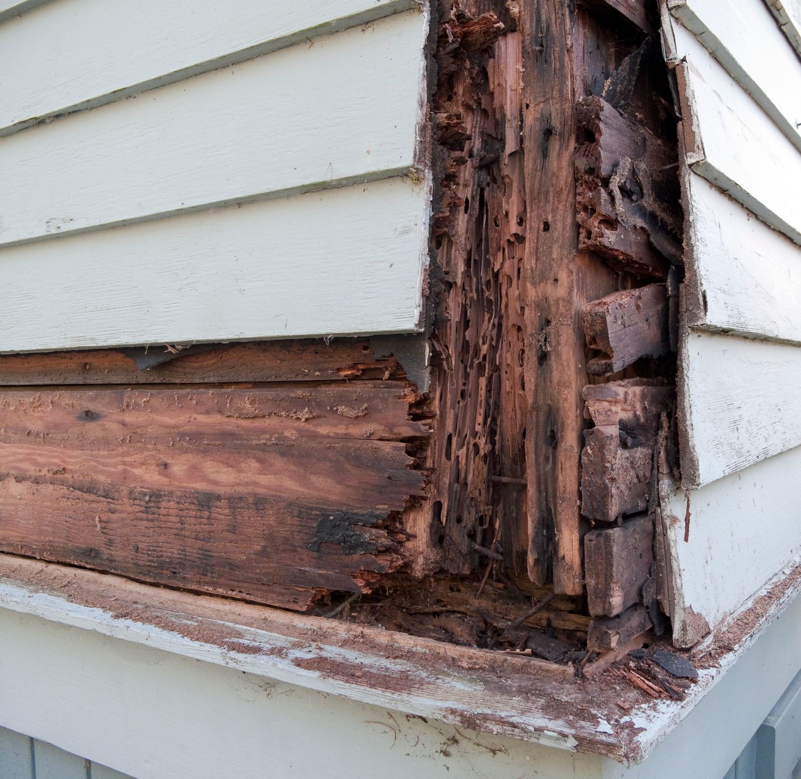 Rotten wood siding and trim damaged by moisture at a house corner