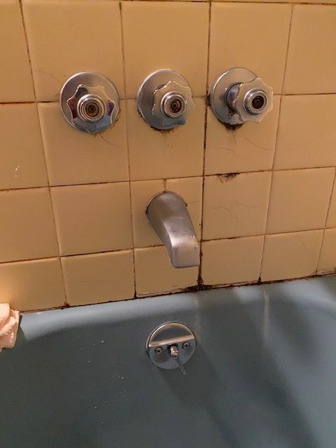 Bathtub fixtures: three faucet handles, spout, and drain in a tiled alcove, above a blue tub.
