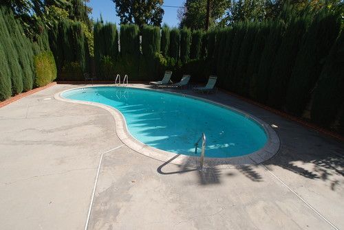 Swimming pool with clear water, surrounded by concrete and tall green hedges. Three lounge chairs sit poolside.