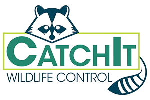 CatchIt-Wildlife-Control