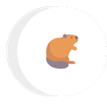 a hamster is sitting in a circle on a white background .