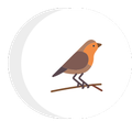 a bird is sitting on a branch in a circle .