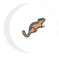 an icon of a chipmunk in a circle on a white background .