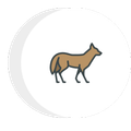 a fox is standing in a circle on a white background .
