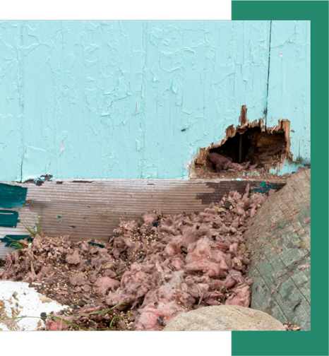 a hole in a wall with a lot of insulation coming out of it .