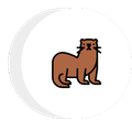 a brown ferret is standing in a circle on a white background .
