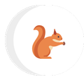 a squirrel is sitting in a circle holding a nut .