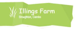 IllingsFarm Logo