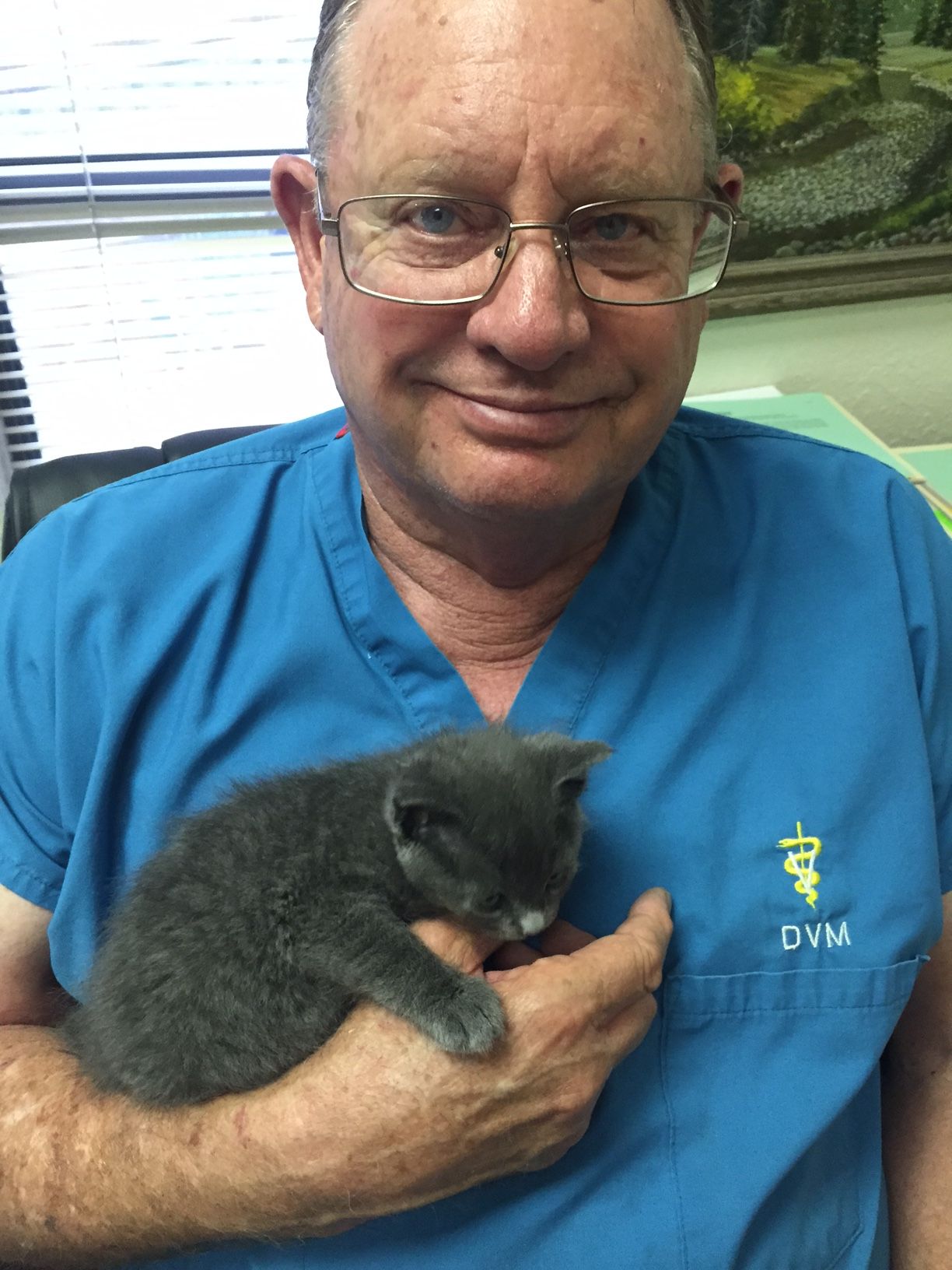 Veterinarian El Paso, TX America’s Animal Clinic