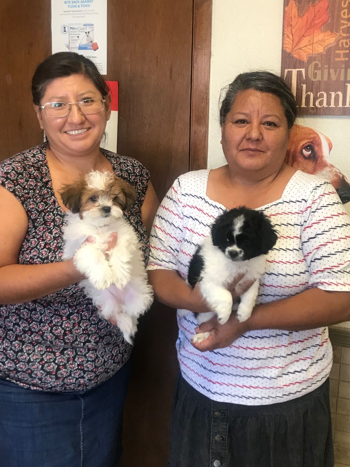 Veterinarian El Paso, TX America’s Animal Clinic