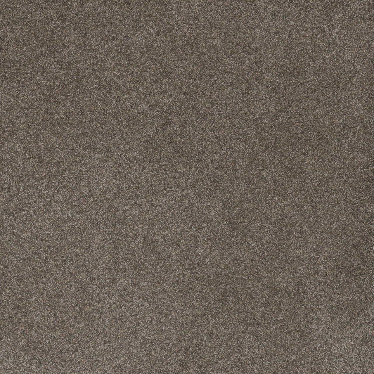 A close up of a gray carpet texture.