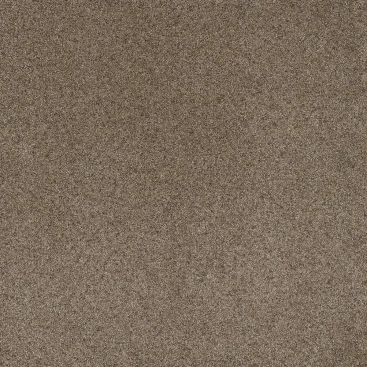 A close up of a brown carpet texture.