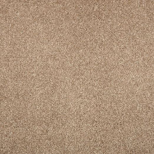 A close up of a brown carpet texture.