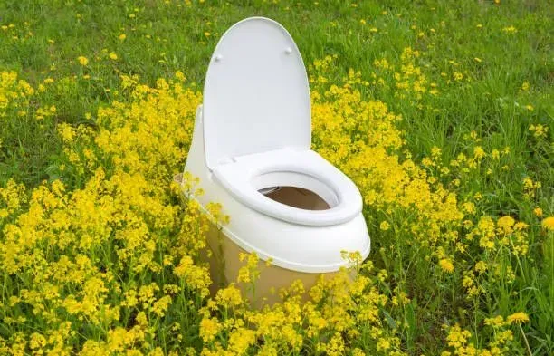 Spring Care Tips For Septic System