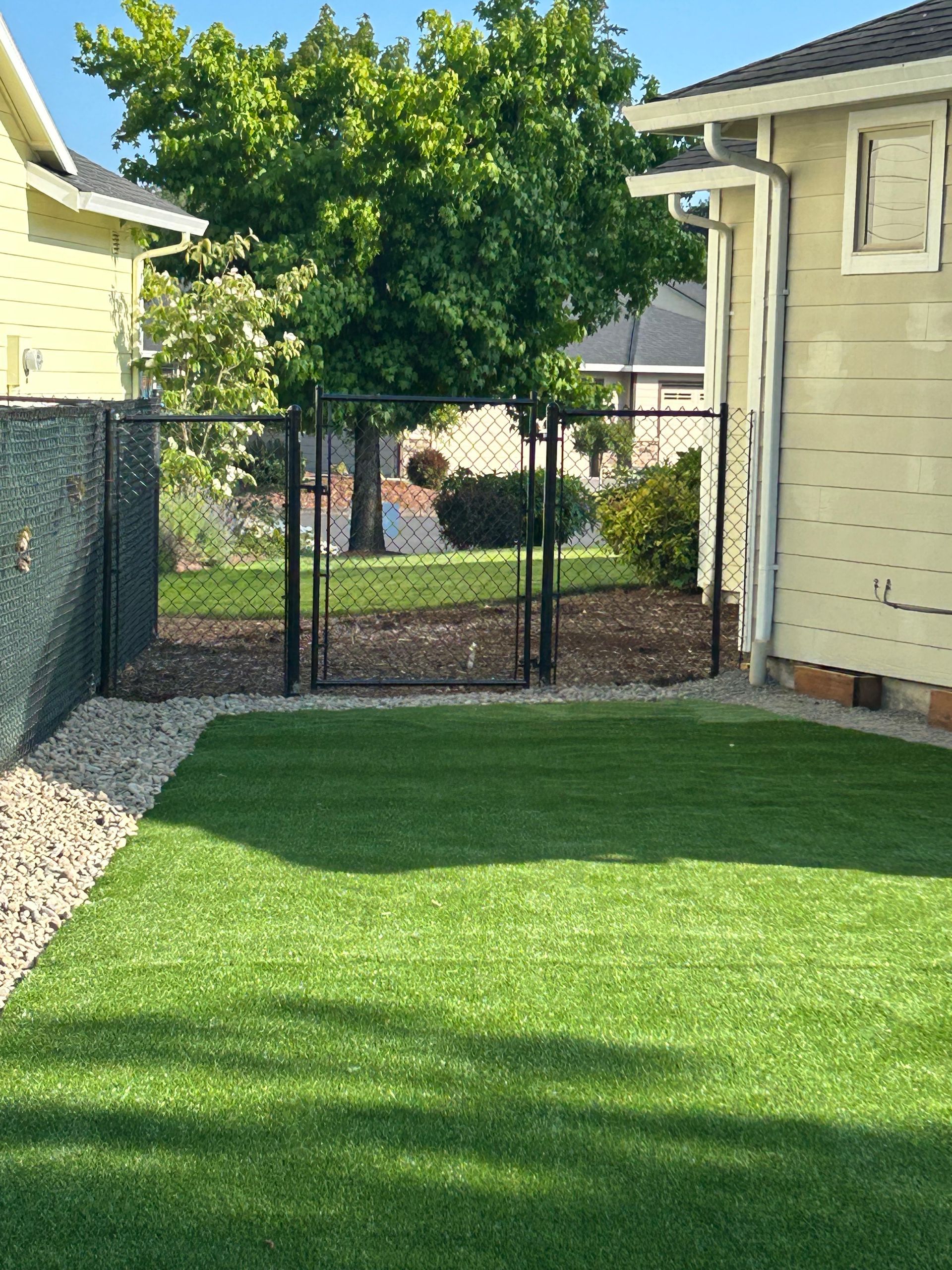 Backyard with green lawn, chain-link gate, trees, and yellow house walls on both sides