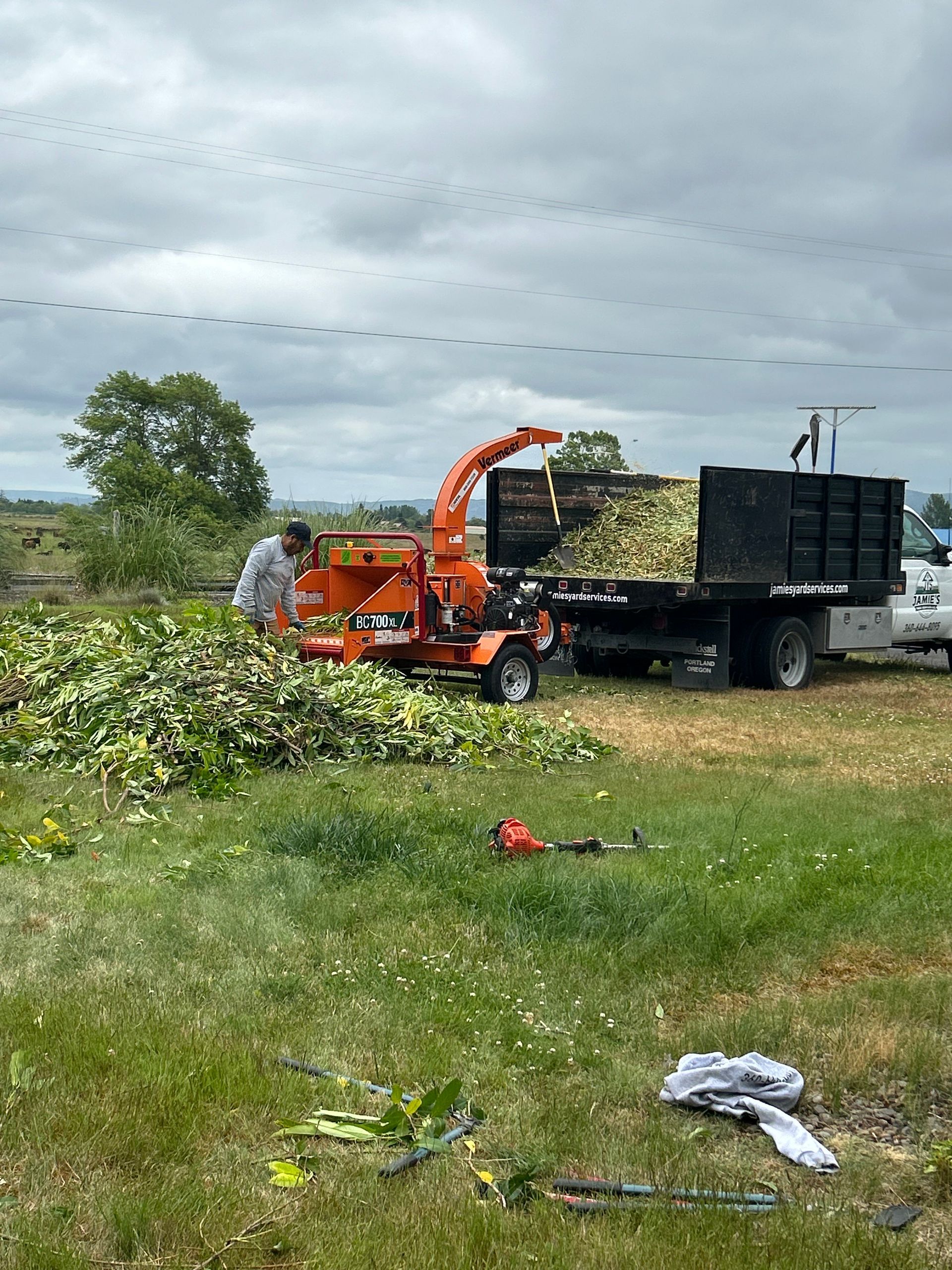 Orange wood chipper loading brush into black dump trailer in a grassy field under cloudy sky