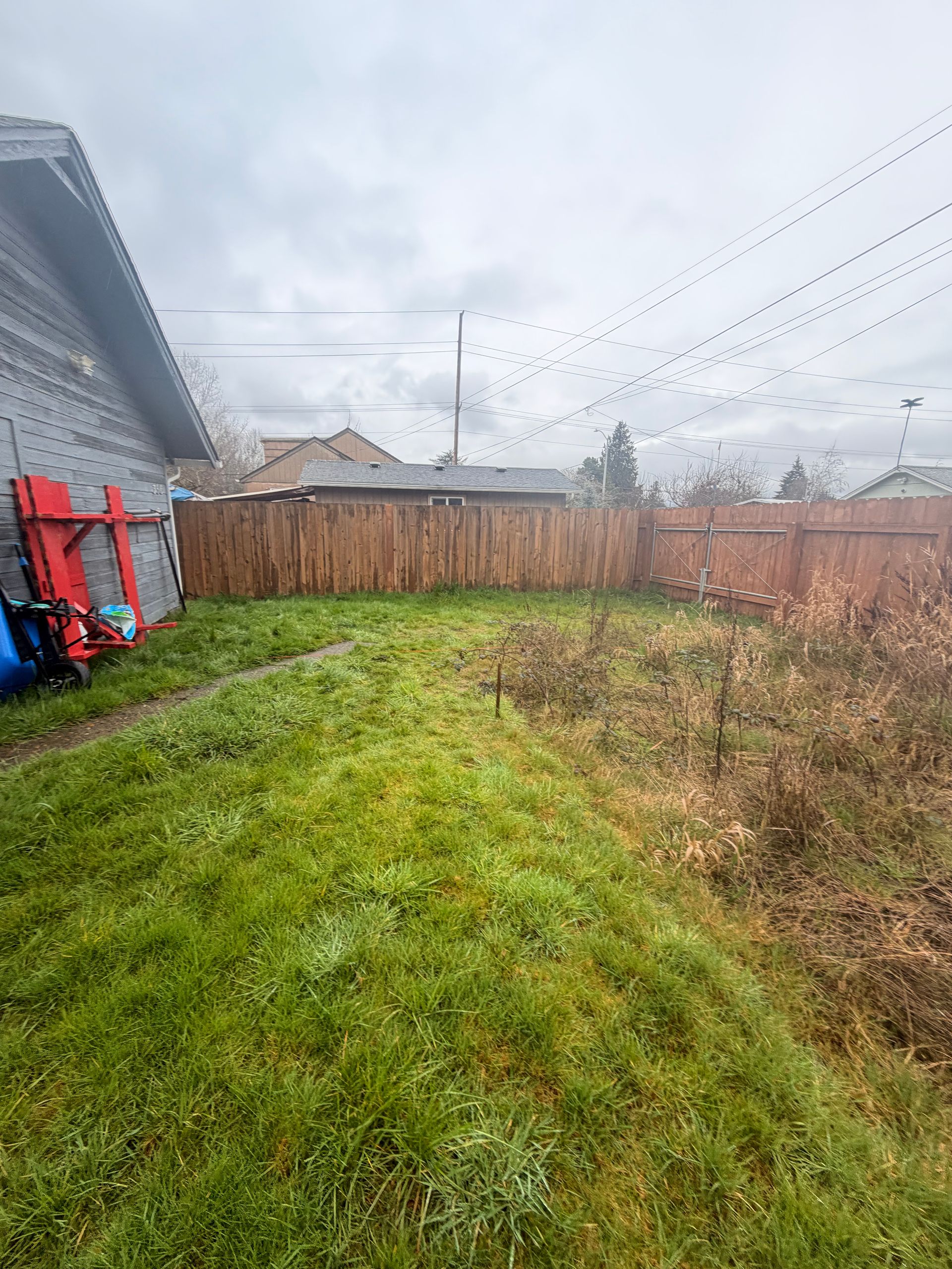 Backyard with wet grass, wooden fence, bare shrubs, and overcast sky beside a house