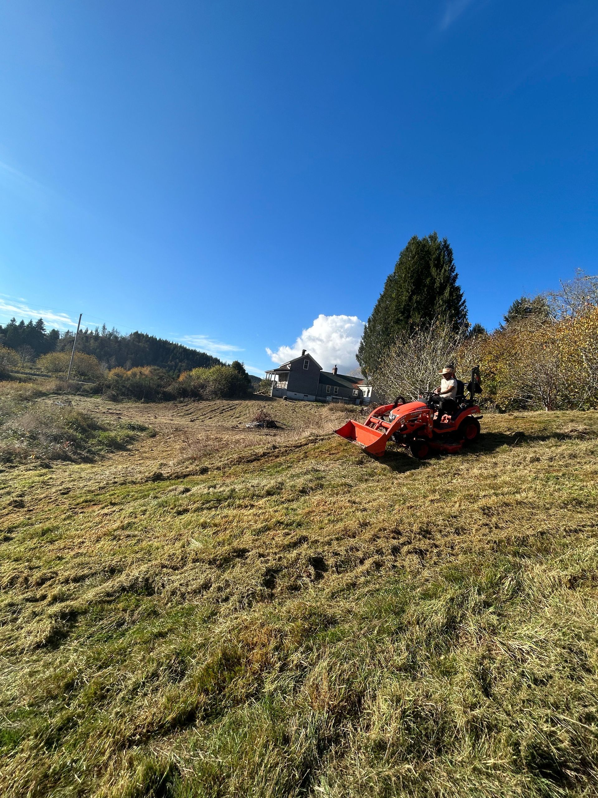 Red mower on a grassy hillside under a clear blue sky, with trees and a tall shrub nearby