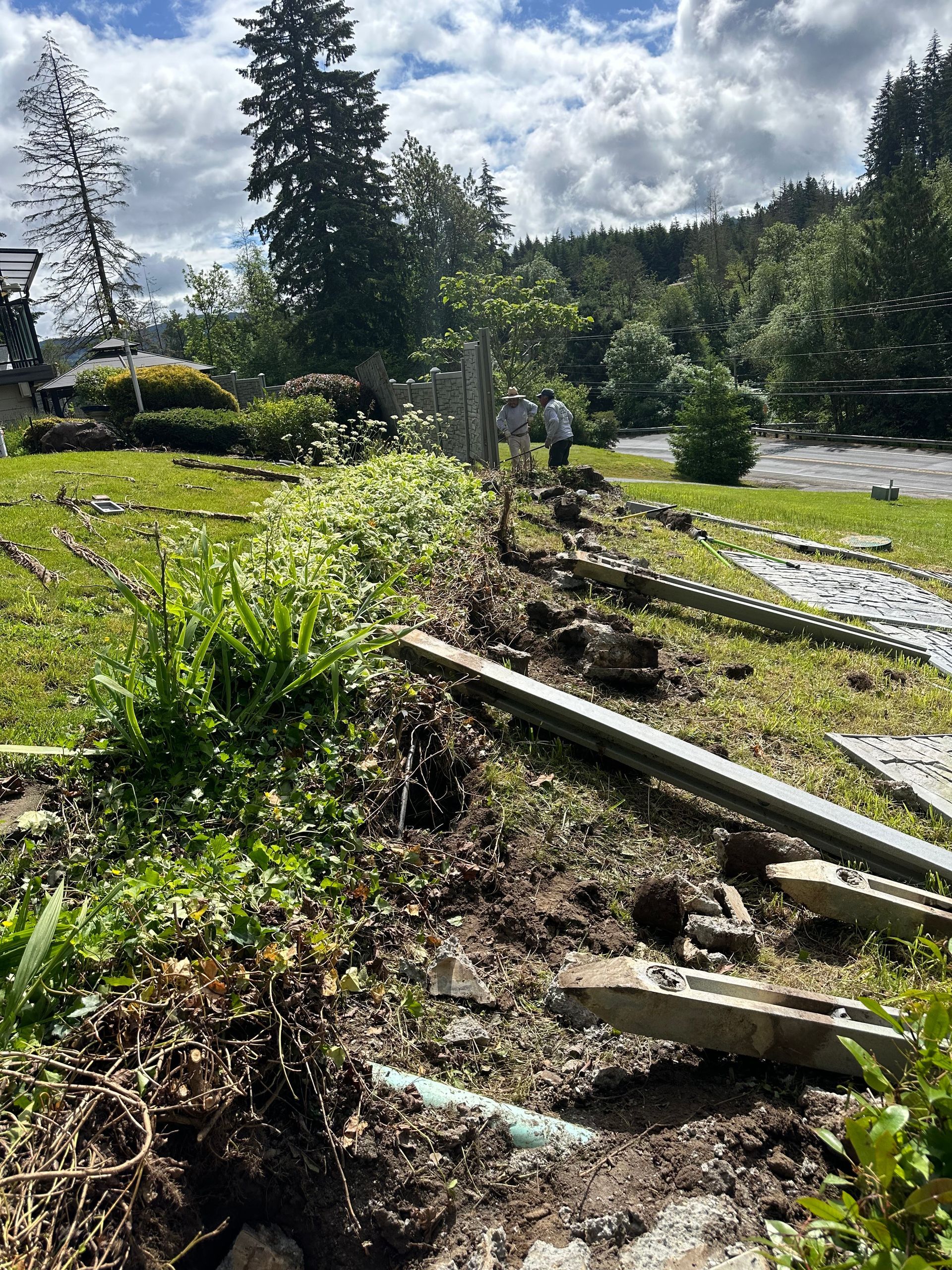 Sunny hillside garden with muddy erosion, broken wooden boards, and trees in the background