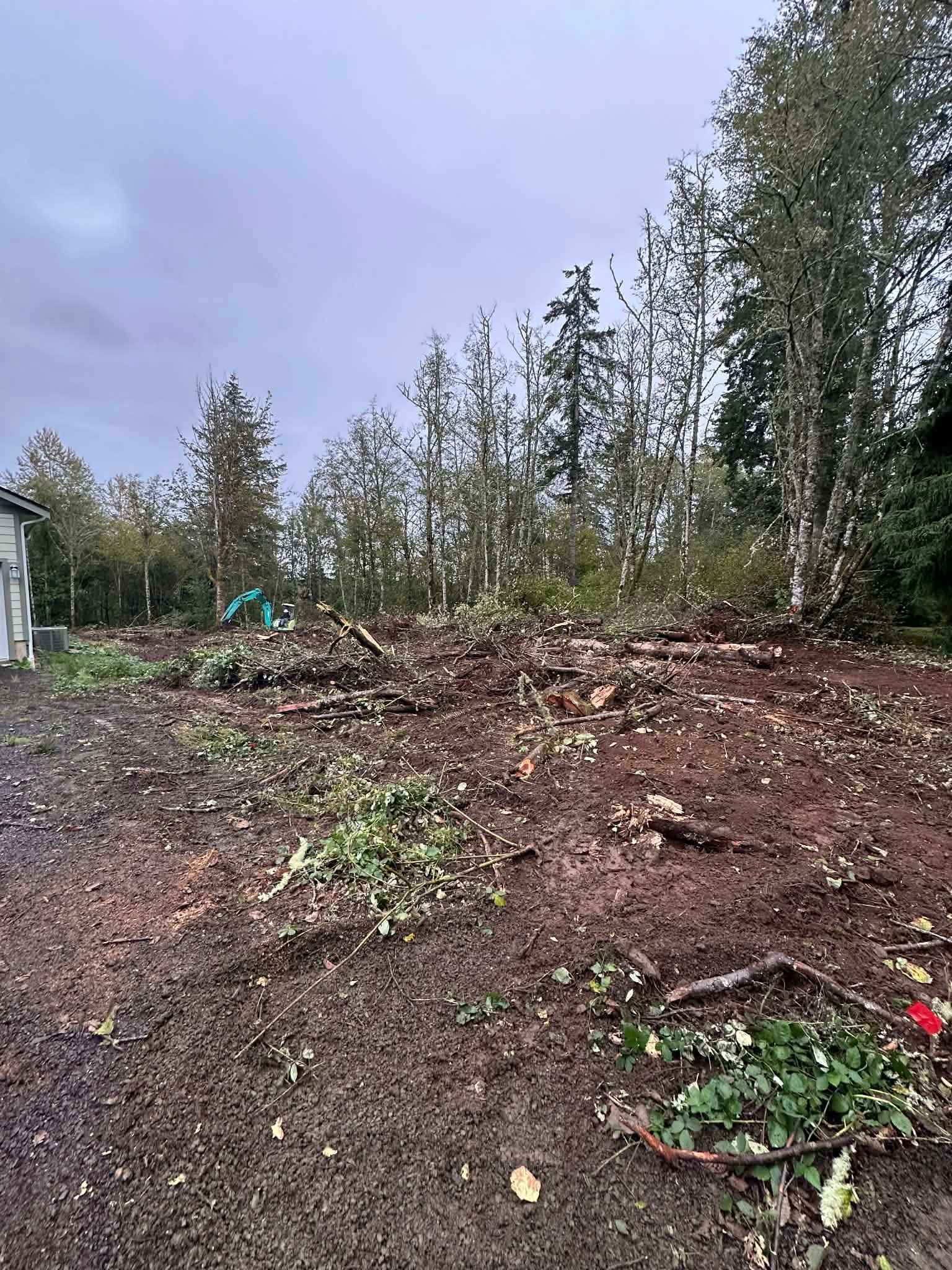 Cleared muddy hillside with scattered branches and trees under an overcast sky