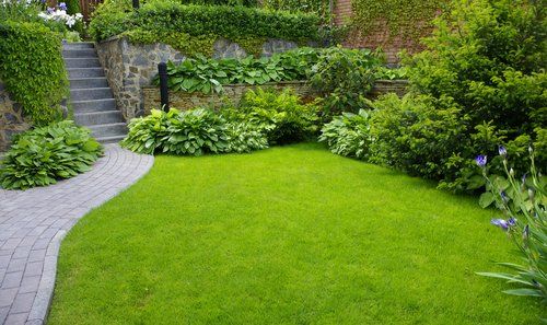 Garden stone path with grass growing up between the stones