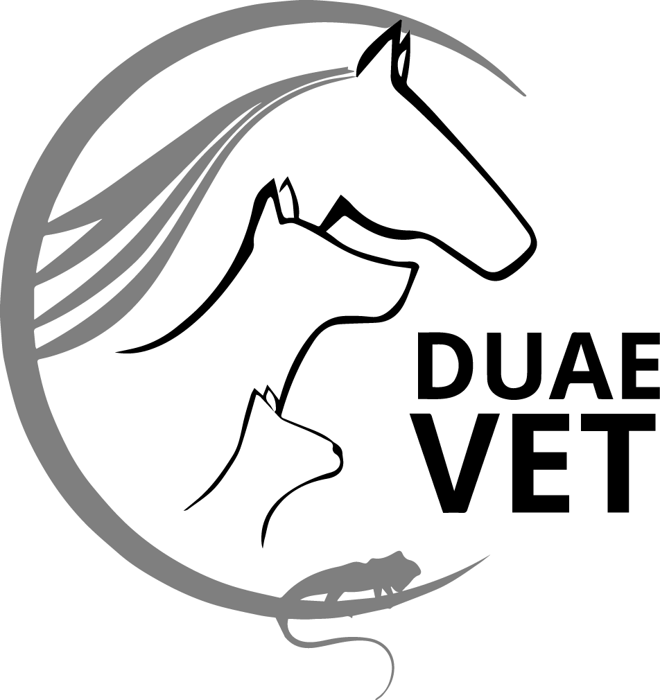 DuaeVet