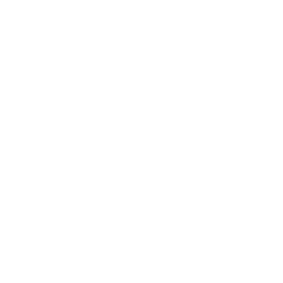 Blank white square image.