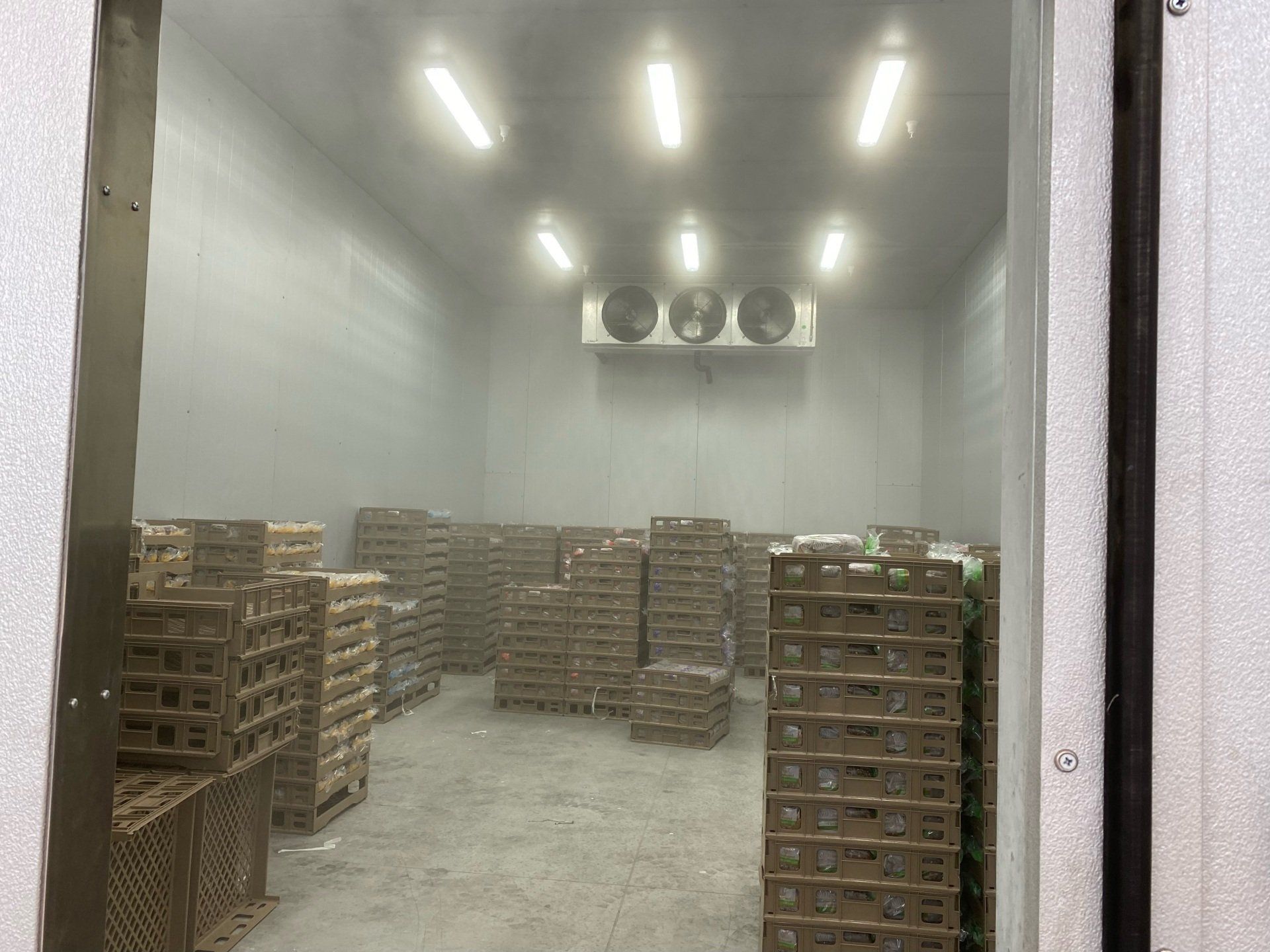 delfield refrigerators delfield refrigerators