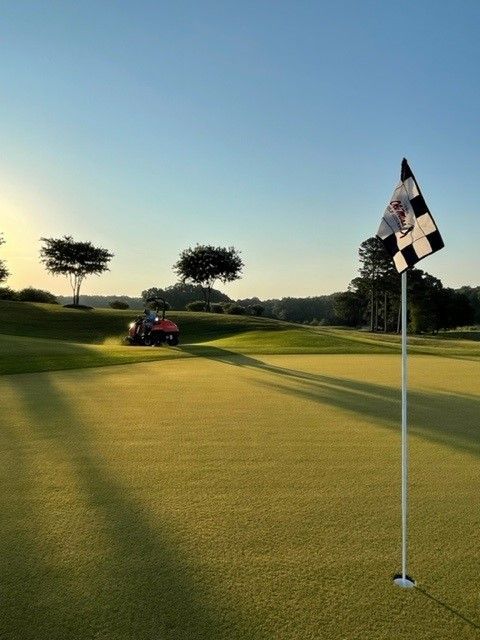 Golf course green with flag and cart in the distance under a bright blue sky.