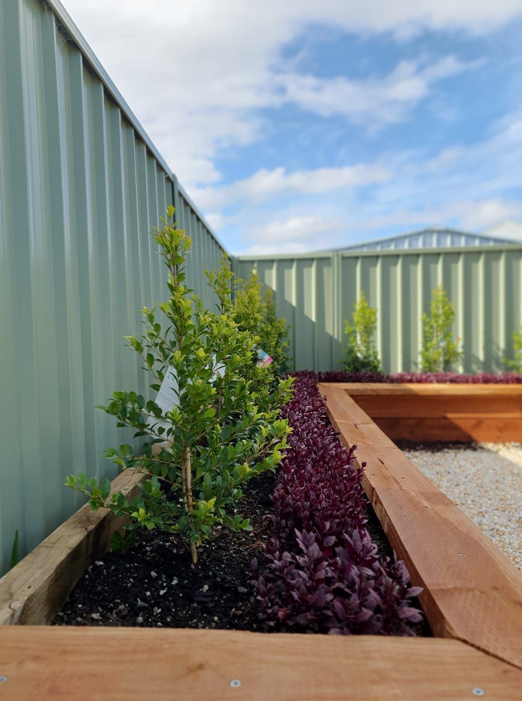 Raised Garden Beds With Green and Burgundy Plants In Front — Port Landscape Supplies in Port Macquarie, NSW