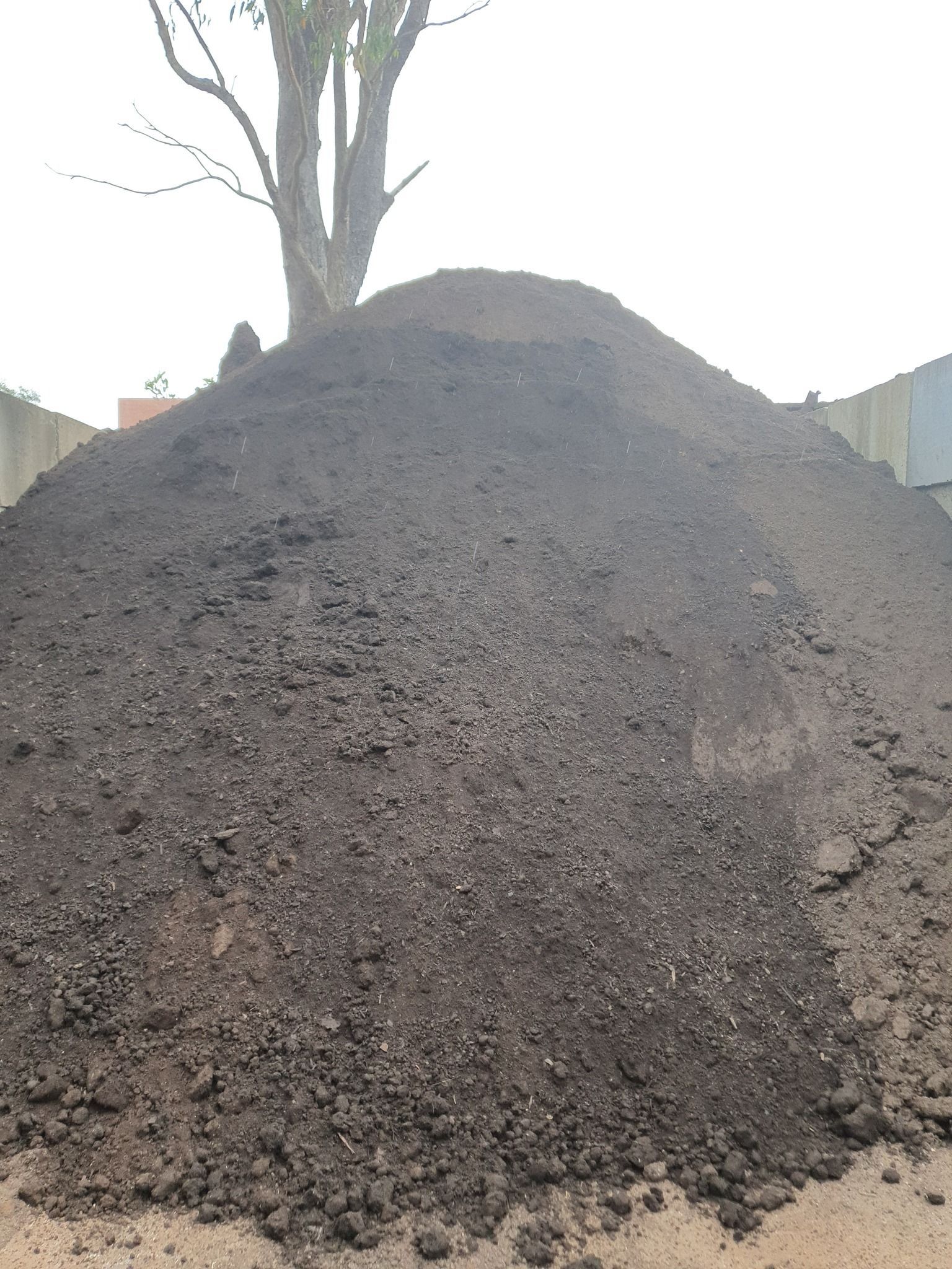 Pile of Dark Brown Soil in An Outdoor Setting with A Tree in The Background — Port Landscape Supplies in Port Macquarie, NSW