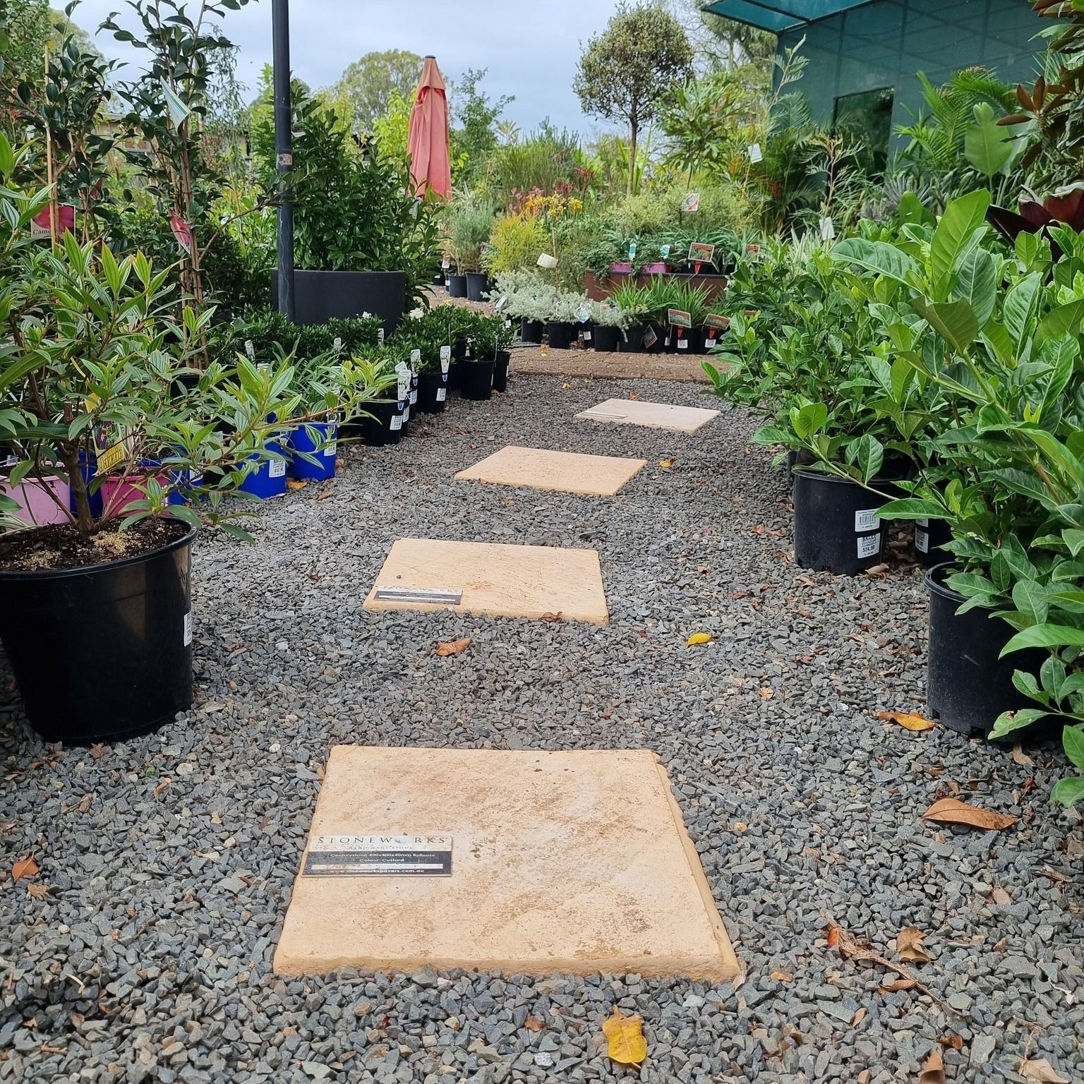 Stone Path Through a Nursery, Surrounded by Potted Plants — Port Landscape Supplies in Port Macquarie, NSW