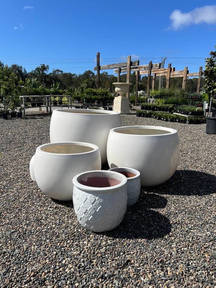 Five White and Terra-Cotta Spherical Planters on A Gravel Surface — Port Landscape Supplies in Port Macquarie, NSW
