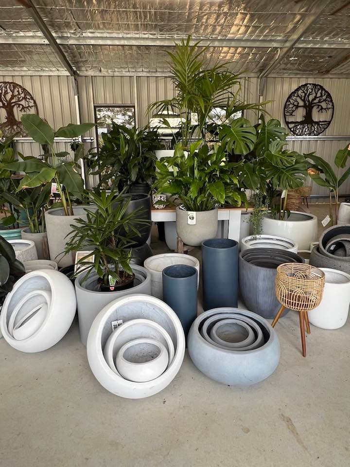Variety of Potted Plants and Planters on Display in A Greenhouse Setting — Port Landscape Supplies in Port Macquarie, NSW