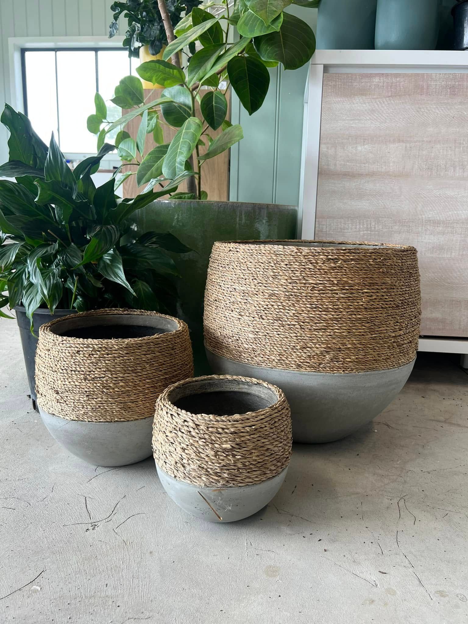 Three Decorative Woven Planters In Front Of Greenery and A Green Pot — Port Landscape Supplies in Port Macquarie, NSW