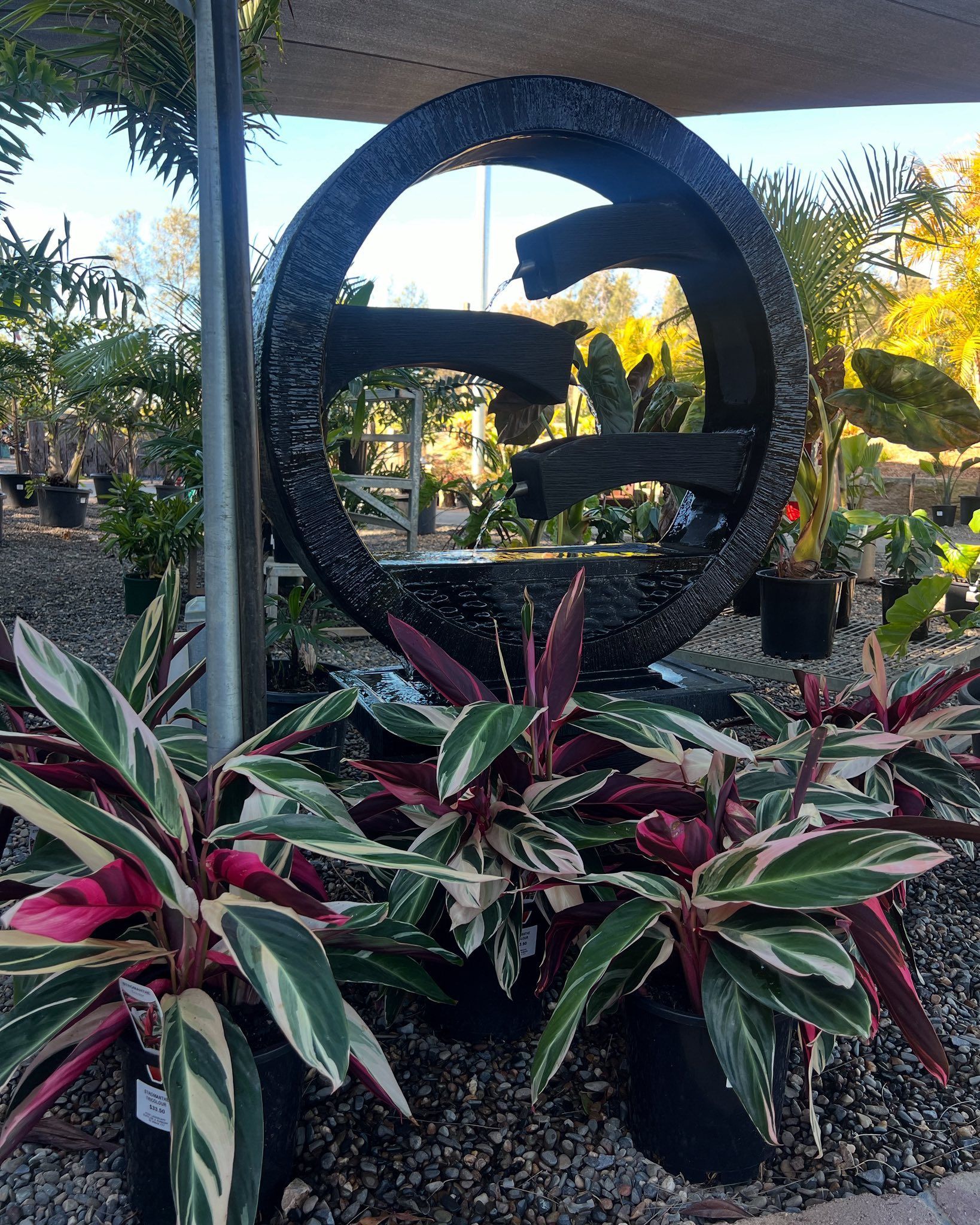 A Water Fountain with A Circular Frame Surrounded by Green and Red Plants — Port Landscape Supplies in Port Macquarie, NSW