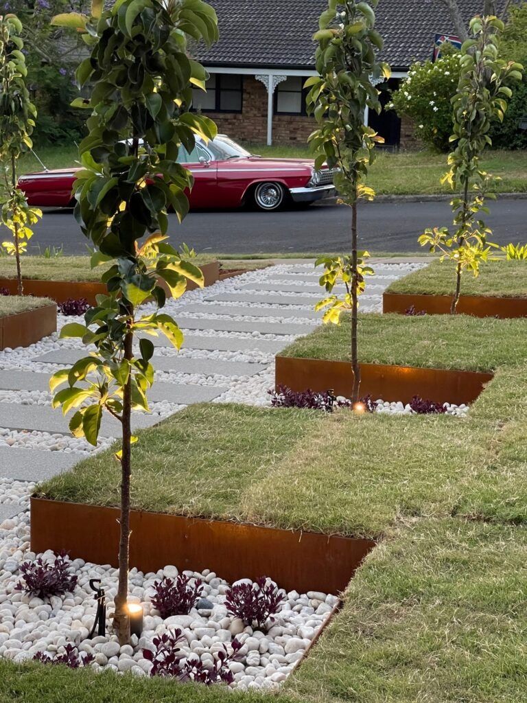 Streetscape With Trees in Grass Beds — Port Landscape Supplies in Port Macquarie, NSW