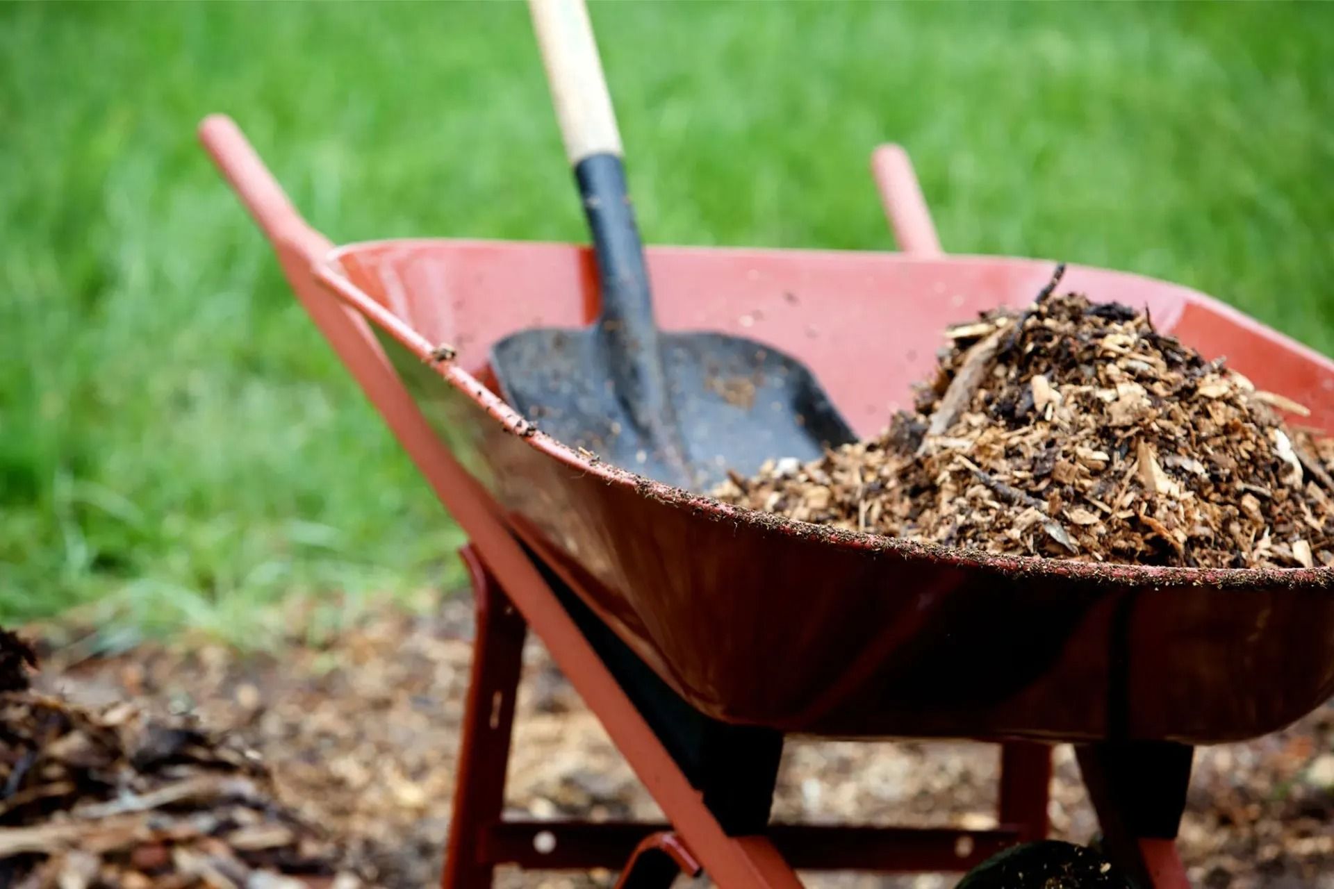 Red Wheelbarrow With Wood Chips and Shovel Outdoors — Port Landscape Supplies in Bonny Hills, NSW