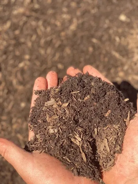 Handful of Dark Brown Compost With Visible Wood Chips, Held Outdoors — Port Landscape Supplies in Port Macquarie, NSW