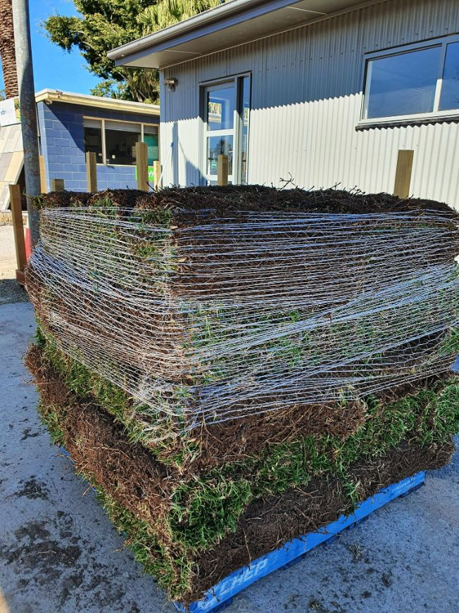 Stack of Turf Rolls, Freshly Cut, Outside a Building, on a Pallet — Port Landscape Supplies in Port Macquarie, NSW
