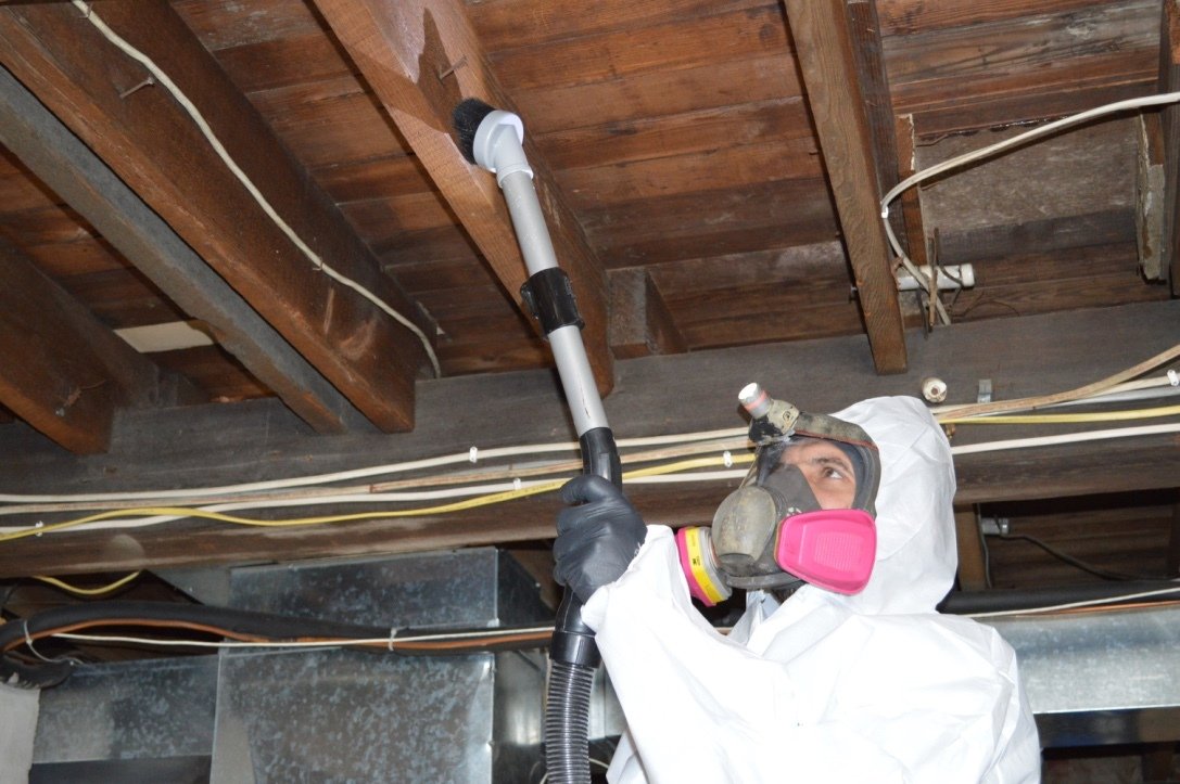 Professional Mold Remediation South Carolina Mastertech Myrtle Beach