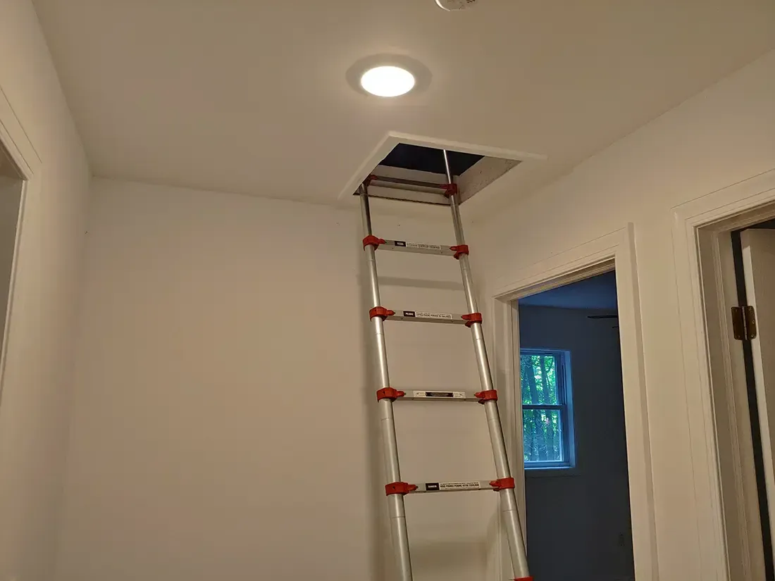 Attic Mold Remediation