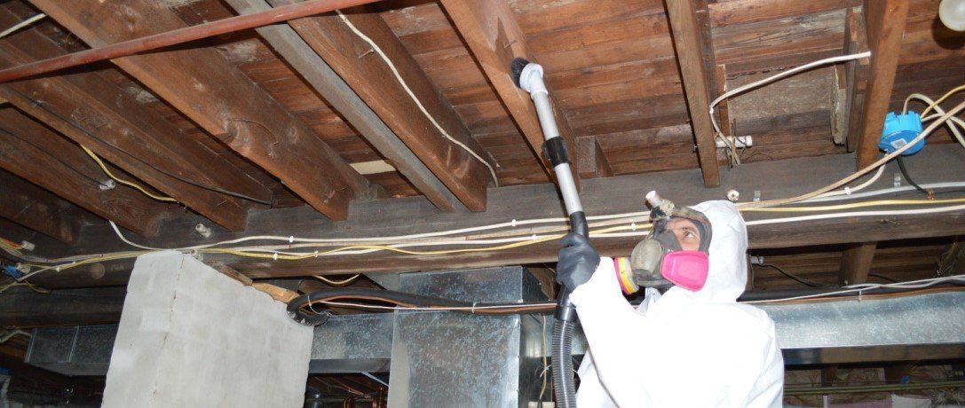 Mold Removal Myrtle Beach