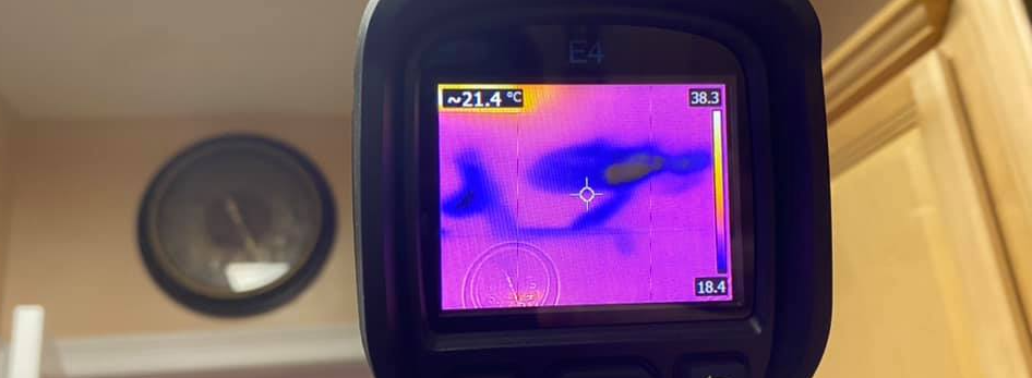Professional Mold Inspection Shallotte NC