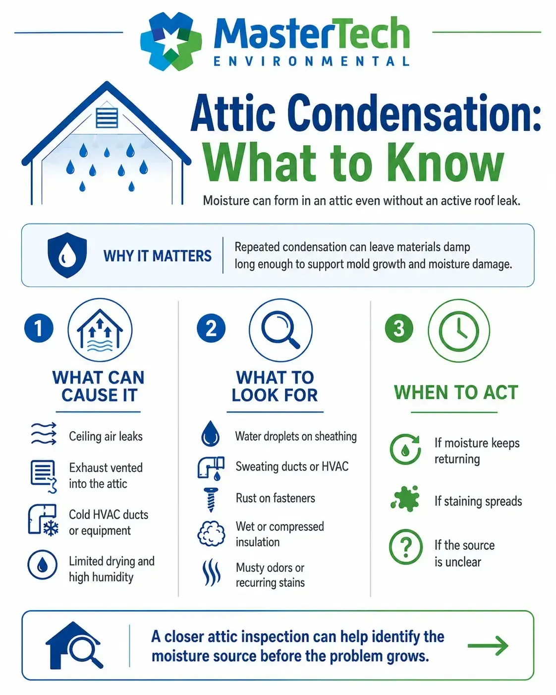 Attic mold inspection 2