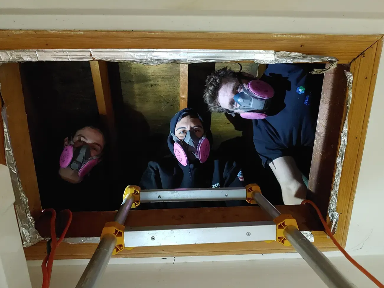 Attic mold inspection 5