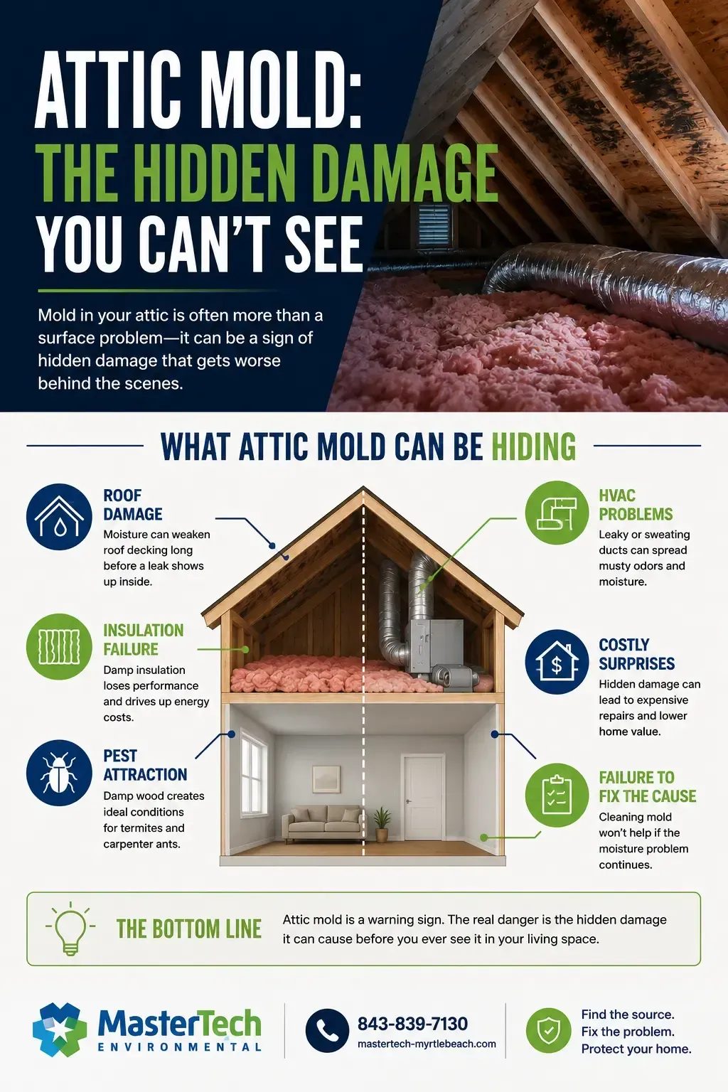 Attic mold remediation 2