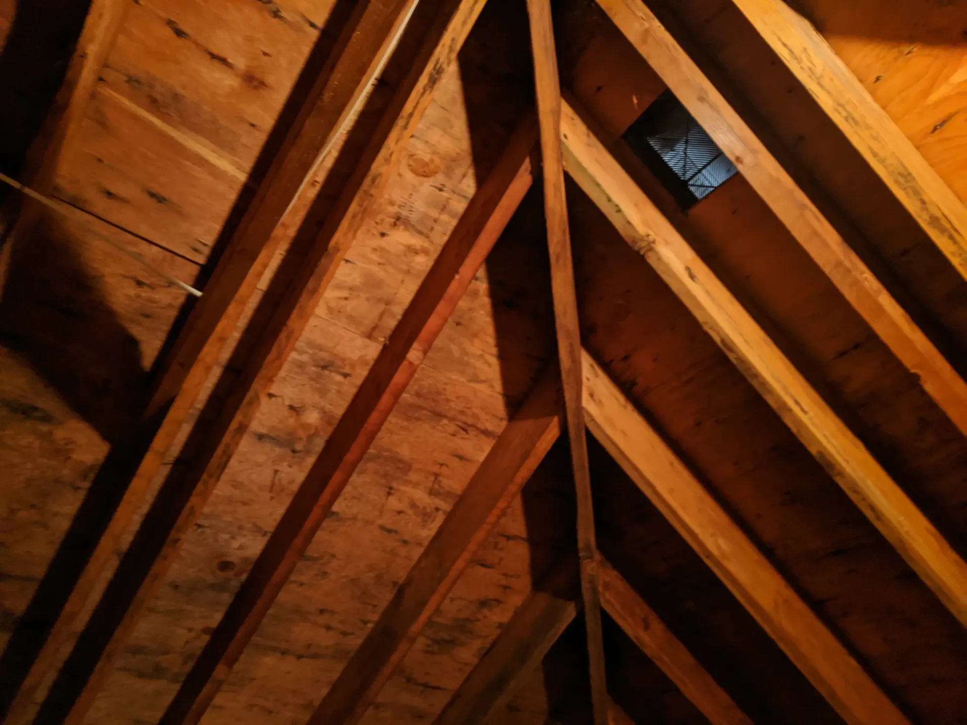 Attic mold remediation