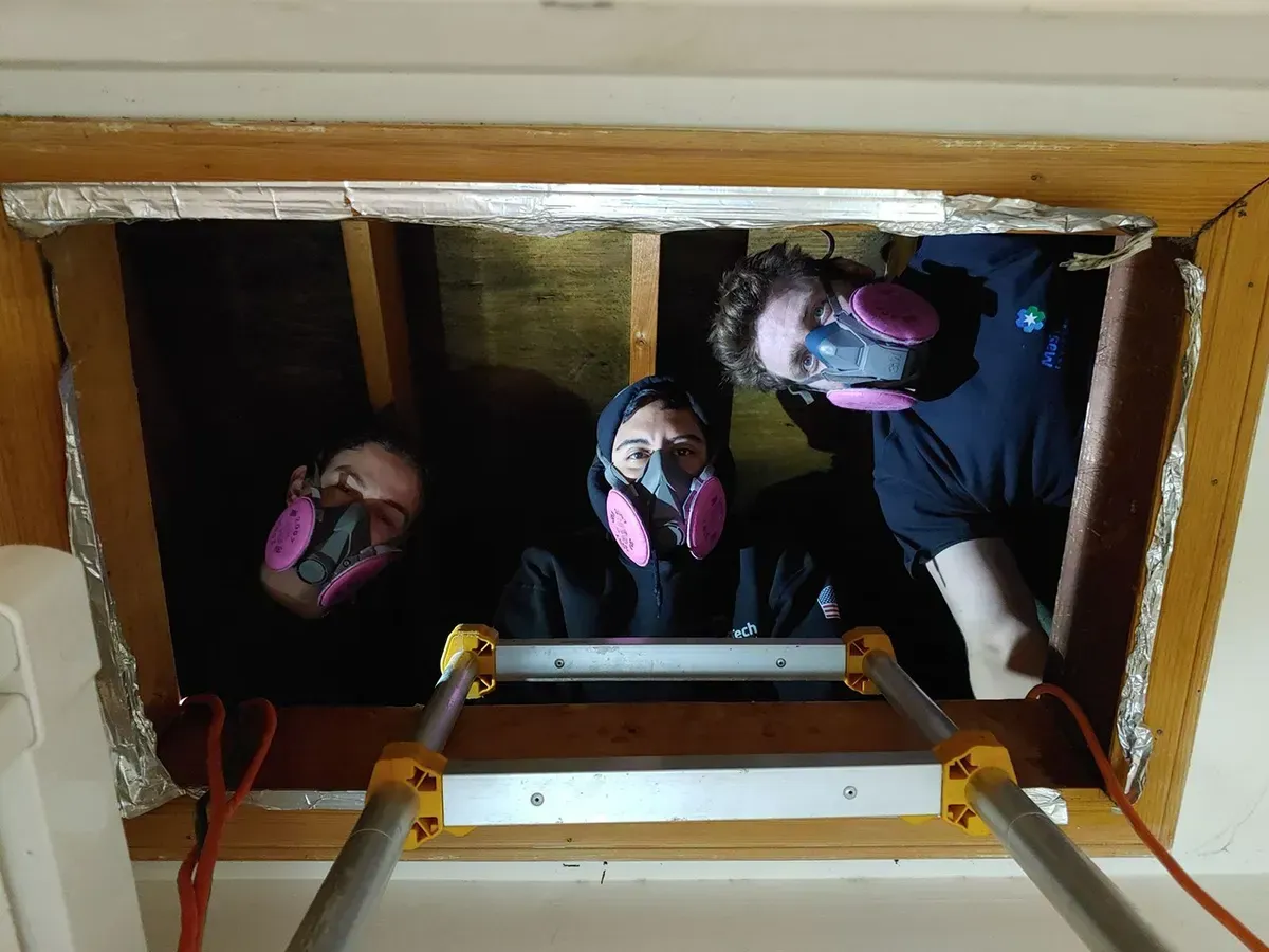 Attic Mold Remediation